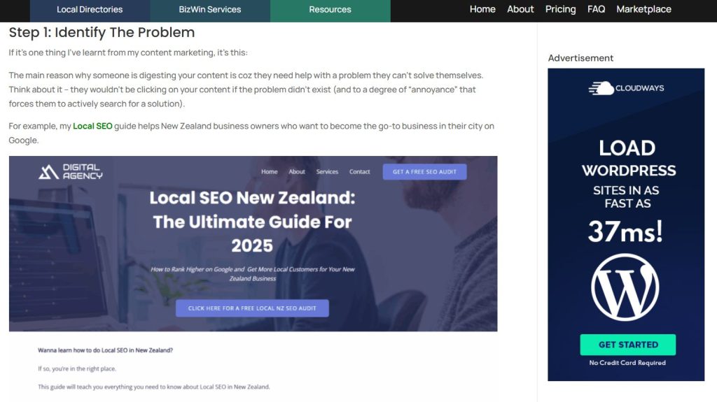 guest posting screenshot on bizwin