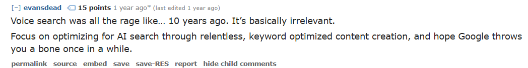 Reddit comment saying voice search was all the rage 10 years ago and is basically irrelevant, advising to focus on optimising for AI search